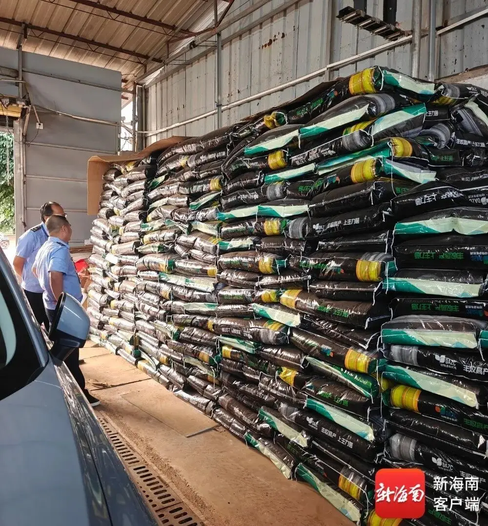 兩部門介入調(diào)查！澄邁多名種植戶反映南瓜生長(zhǎng)遲緩，所用有機(jī)肥不合格